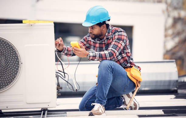 Best Electric Panel Repair  in Crystal Lake, IL