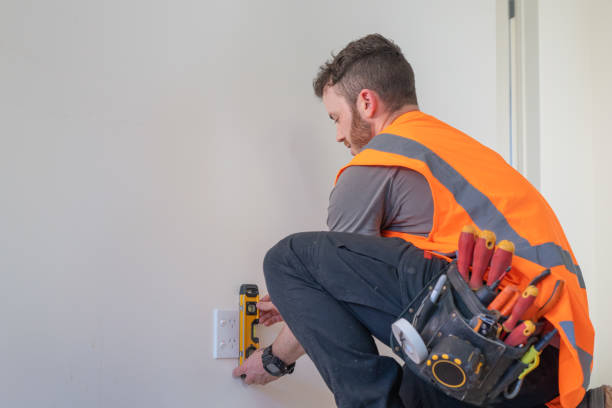 Best Electrical Troubleshooting Services  in Crystal Lake, IL